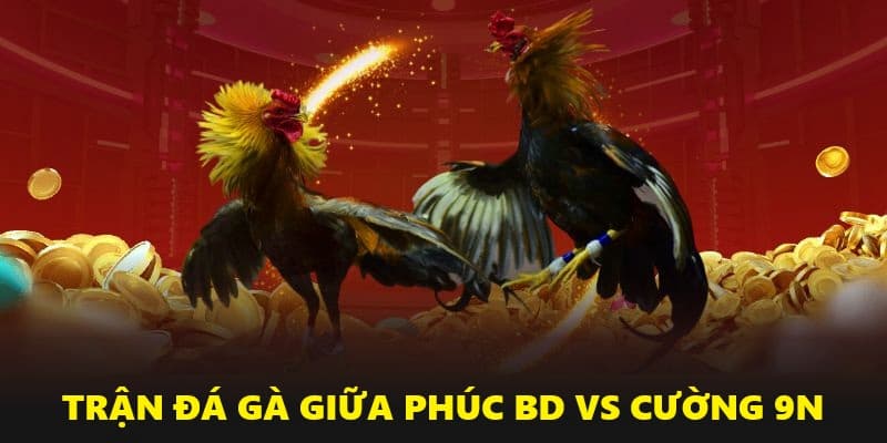 Cuộc so tài giữa 2 sư kê nổi tiếng là Phúc BD và Cường 9N