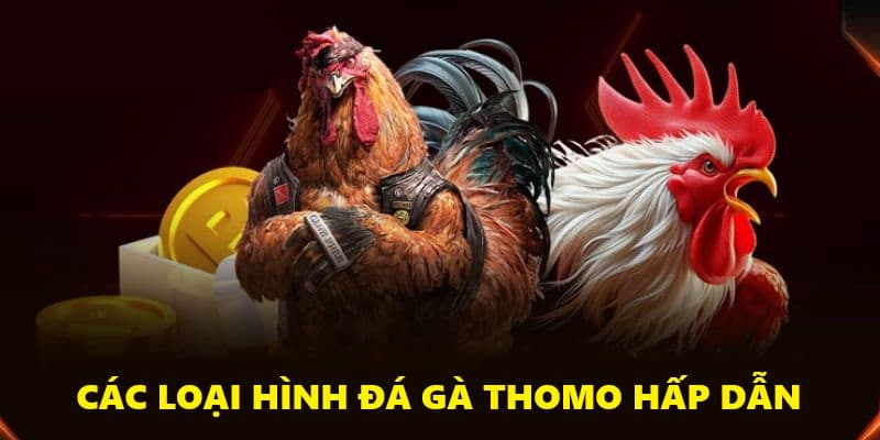 Tổng hợp các hình thức thi đấu Thomo