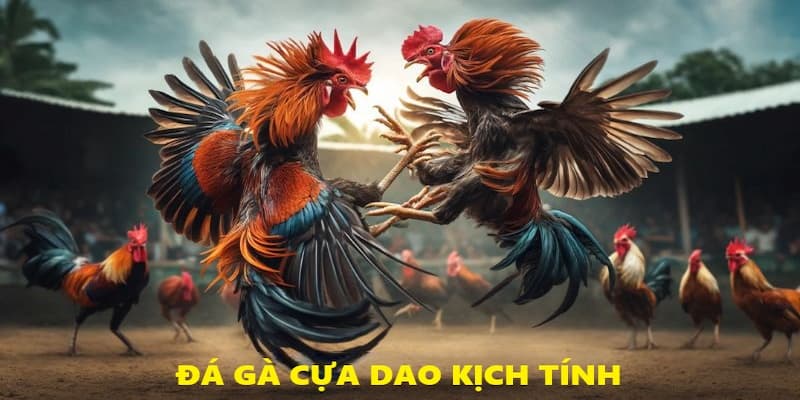 Thể loại đá gà cựa dao SV388 kịch tính