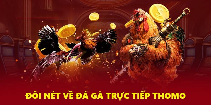 Đá gà trực tiếp Thomo SV388 được hiểu là gì?