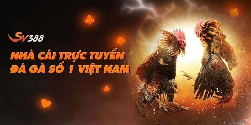 Giới thiệu SV388 nhà cái cá cược uy tín đẳng cấp hàng đầu thị trường châu Á